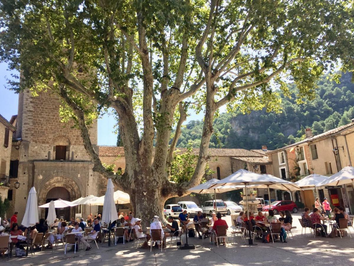 Charmante Maison A Saint Guilhem Le Desert Extérieur photo